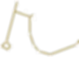 Group 14.png