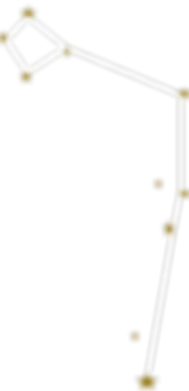 Group 8.png